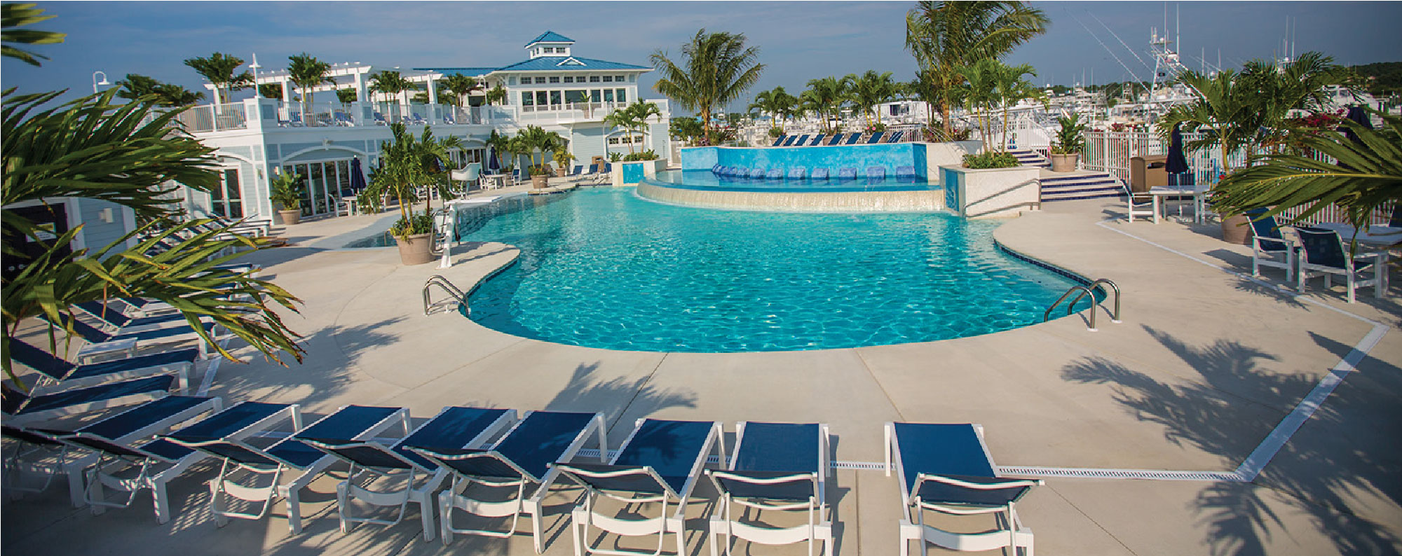 Outdoor pool with chairs and palm trees