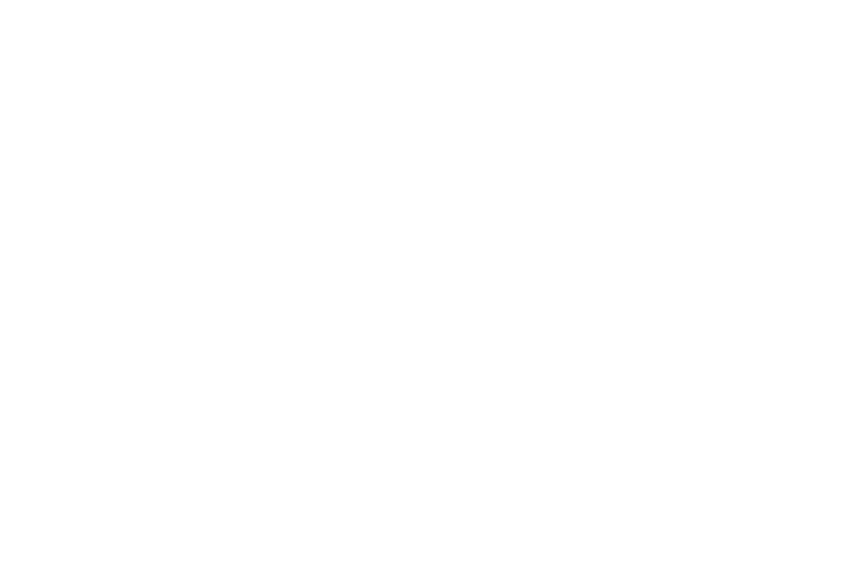 Mickey Fins Logo